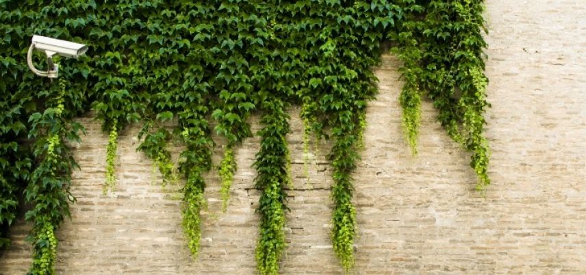 04_18_picture-quality-image_brickwalls