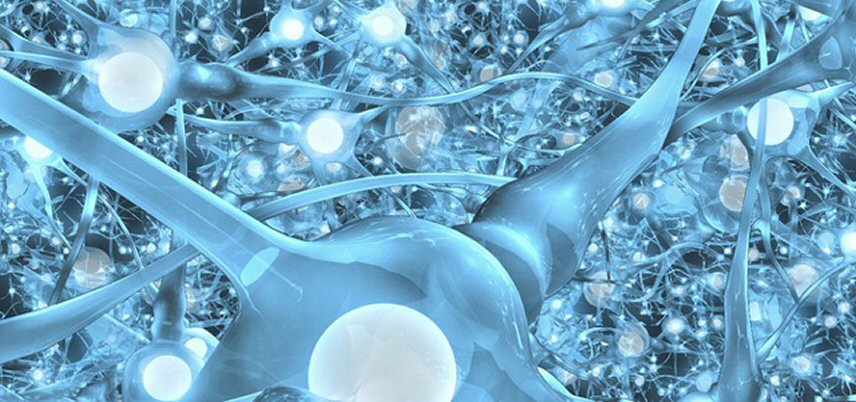 light blut neural network