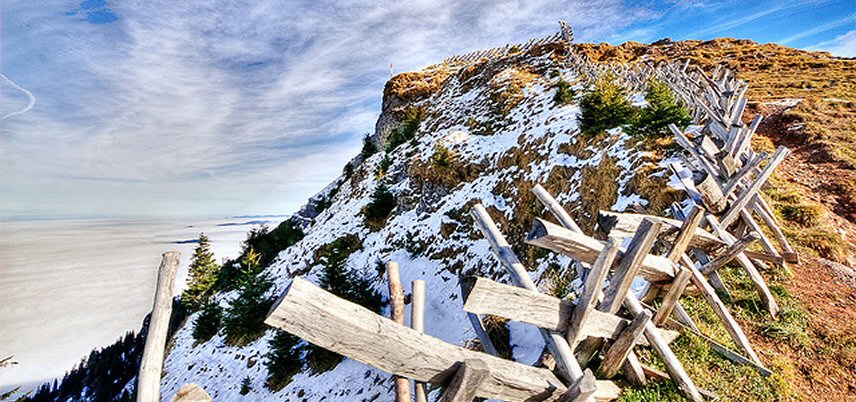 The impact of the cloud on your network